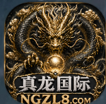 真龙国际